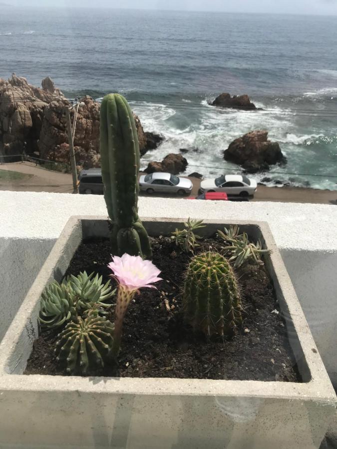 Apartamento Departamento Terrazas De Cochoa 2